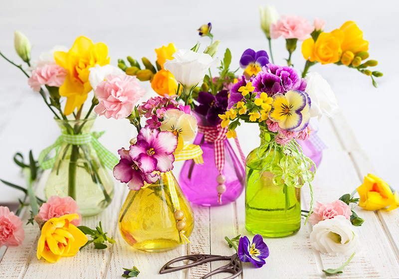 flowers 